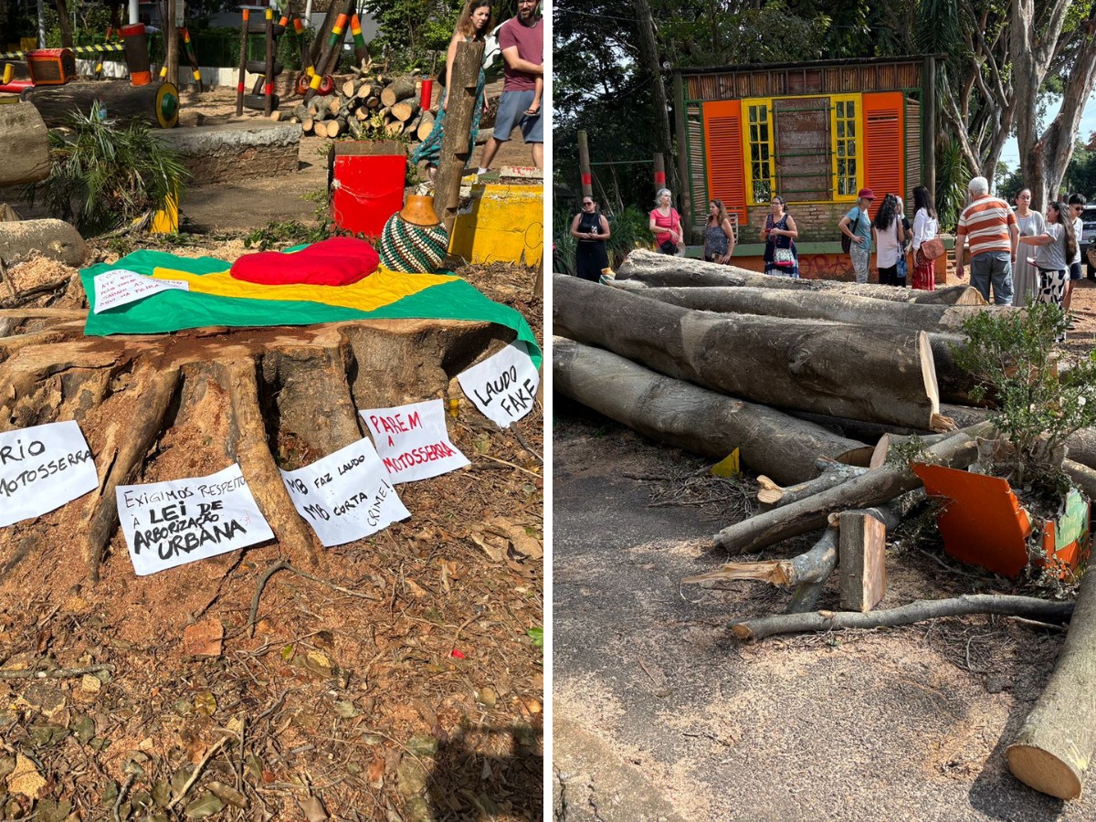 Moradores protestam contra corte de árvores na Praça do Coco, em Campinas