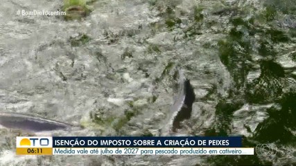 Governador do Tocantins assina medida que isenta imposto sobre peixes criados em cativeiro