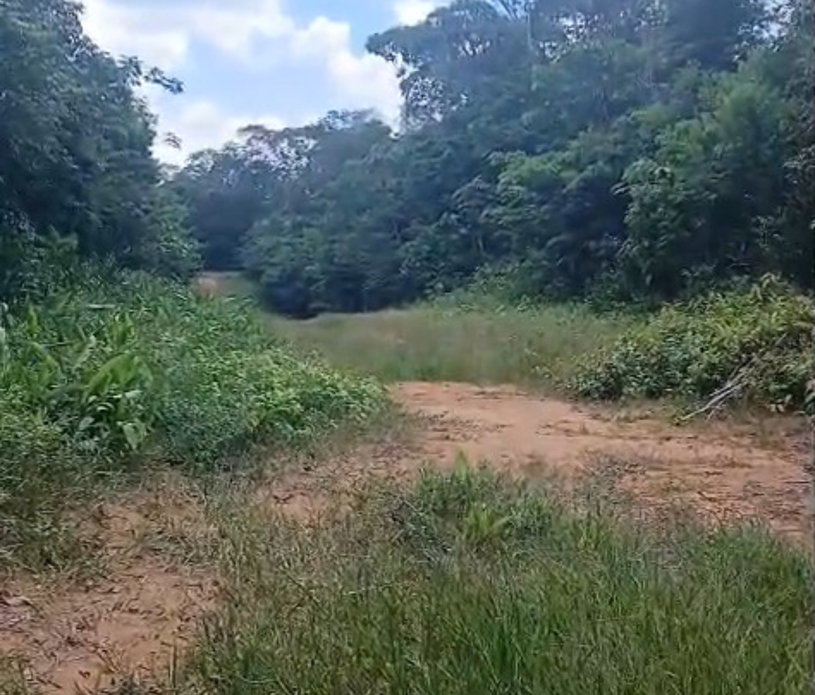 Garimpeiro passa mal na Terra Yanomami e Bombeiros devem fazer resgate