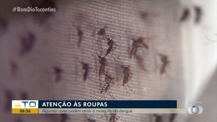 Biólogo explica que algumas cores de roupas podem atrair picadas de mosquitos
