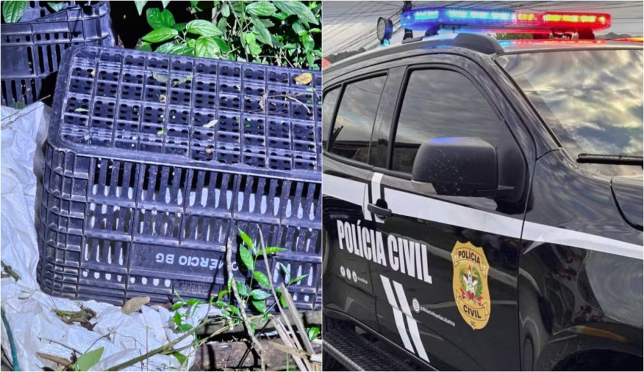 Corpo achado amordaçado pode ser de advogado venezuelano que trabalhava com entregas em SC