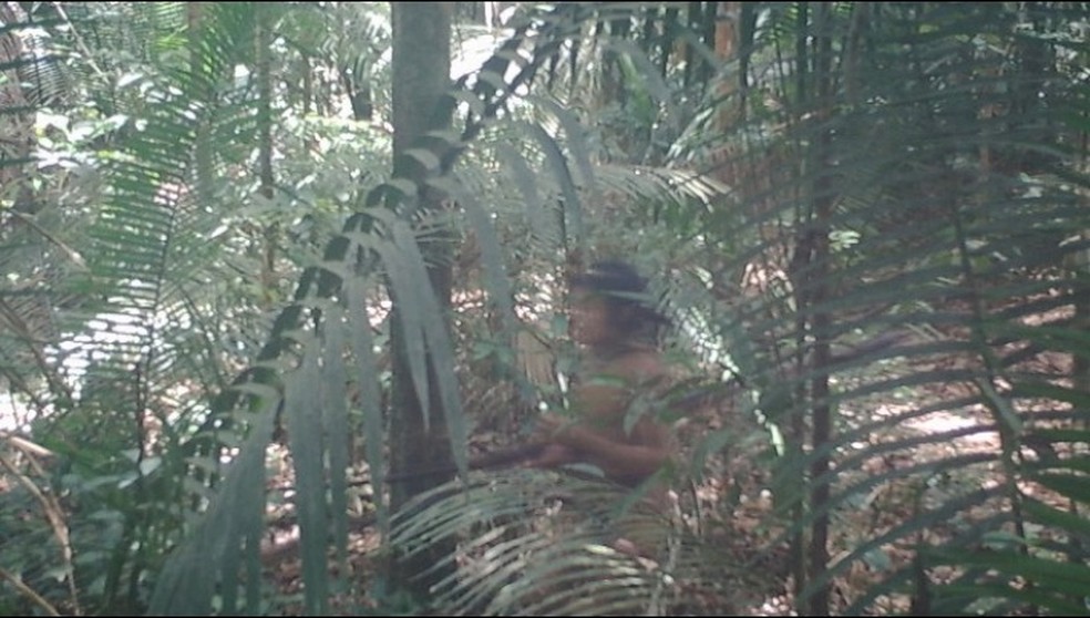 Indígena Kawahiva do Rio Pardo, identificado por uma armadilha fotográfica em novembro de 2020 — Foto: Reprodução CGIIRC/Funai