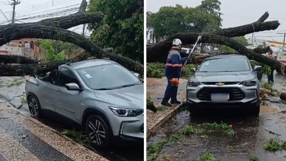2 de 2
&Aacute;rvore de grande porte cai em cima de carro durante temporal em Tup&atilde; (SP) &mdash; Foto: Arquivo pessoal