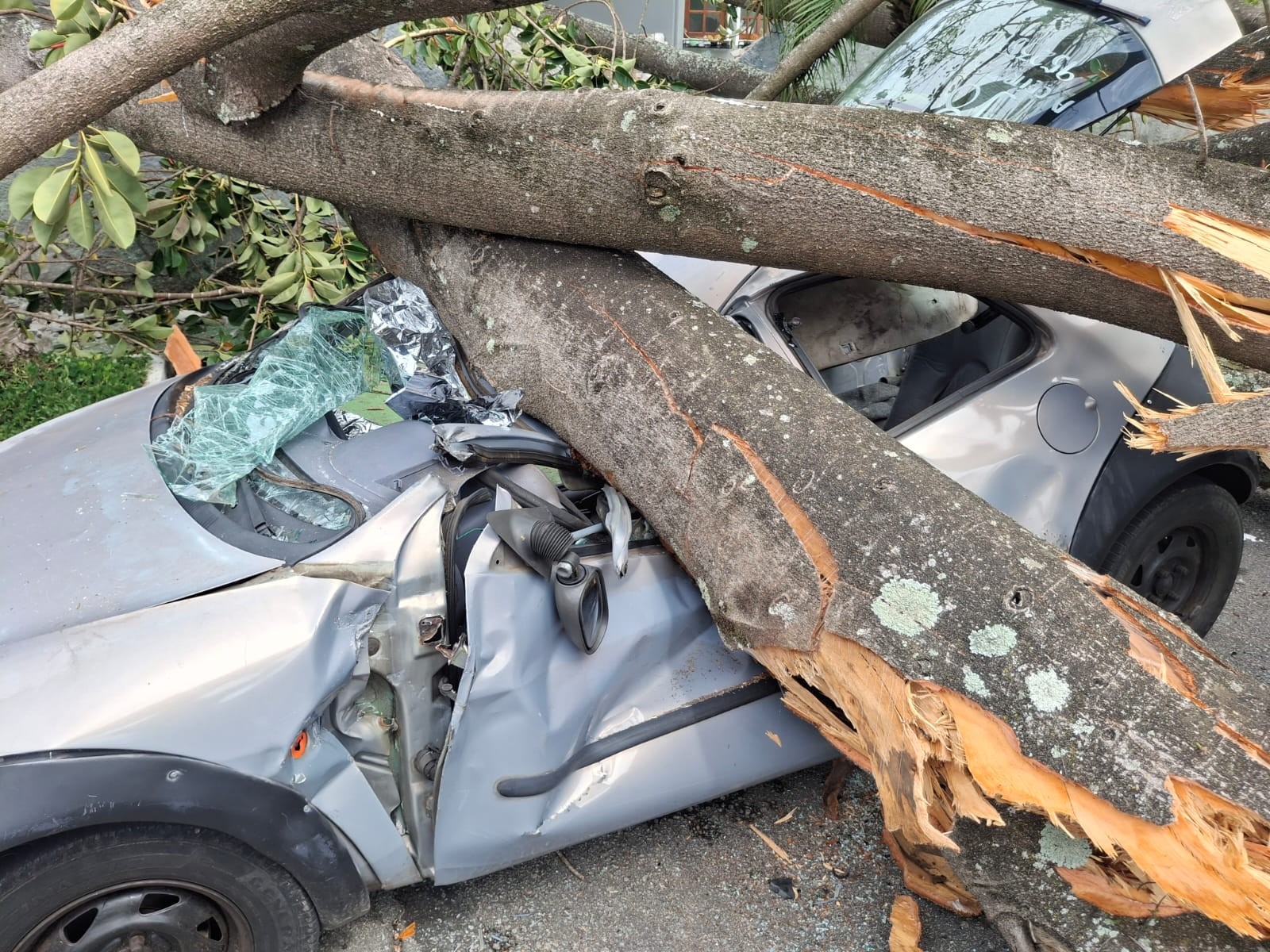Árvore cai sobre carro e deixa motorista ferido durante chuva e vento fortes na Zona Sul de SP