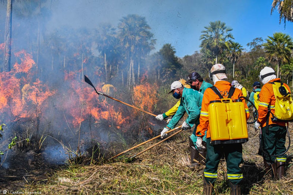 Brigadistas em combate ao fogo no Pantanal durante incêndios de 2024. — Foto: Divulgação/SOS Pantanal