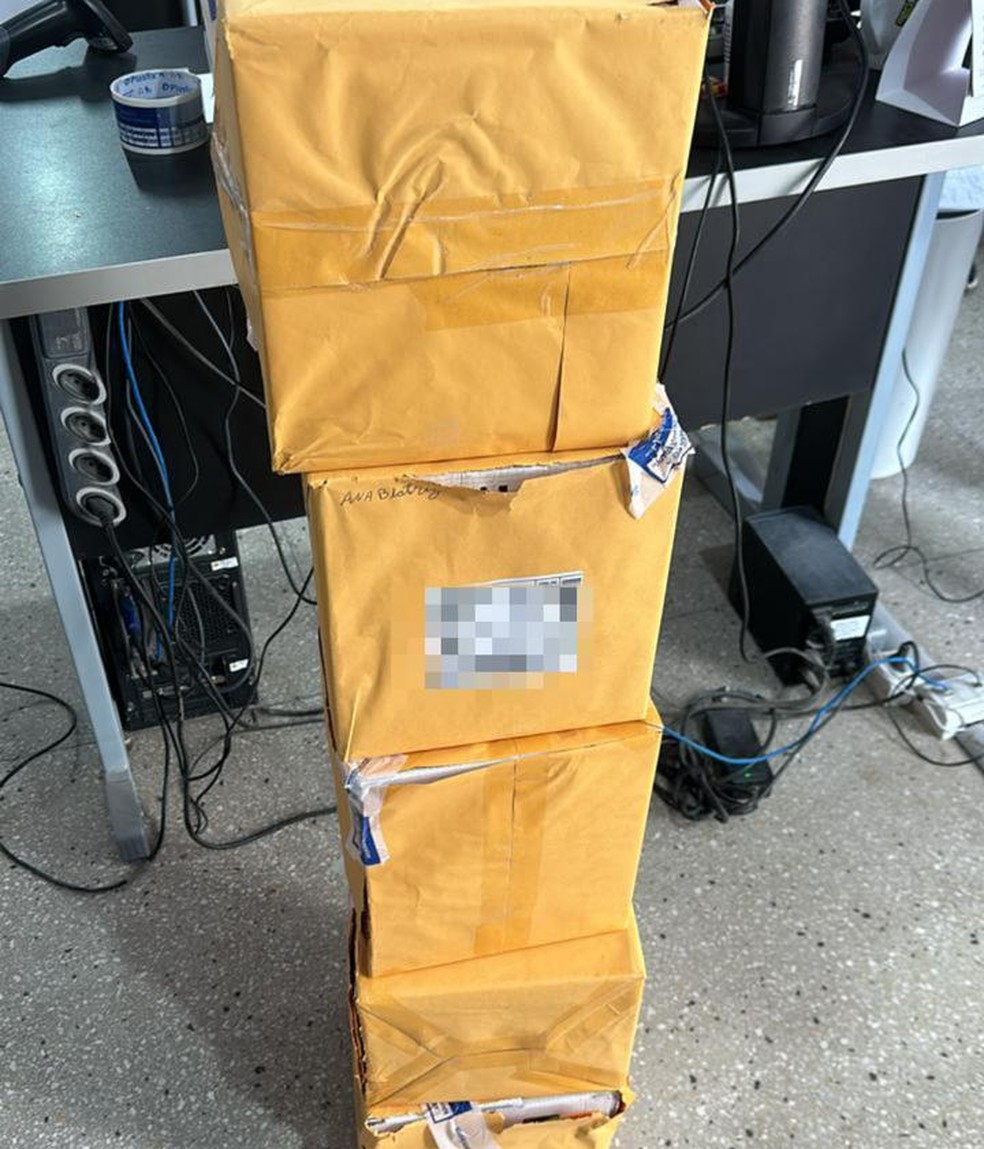 Droga foi apreendida dentro de encomendas com destino a seis estados — Foto: Divulgação/Receita Federal