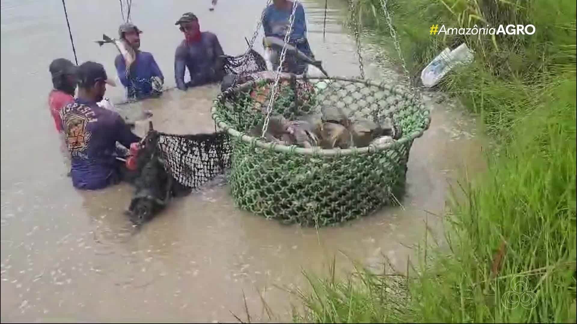 VÍDEOS - Amazônia Agro: Rondônia, 23 de março de 2025