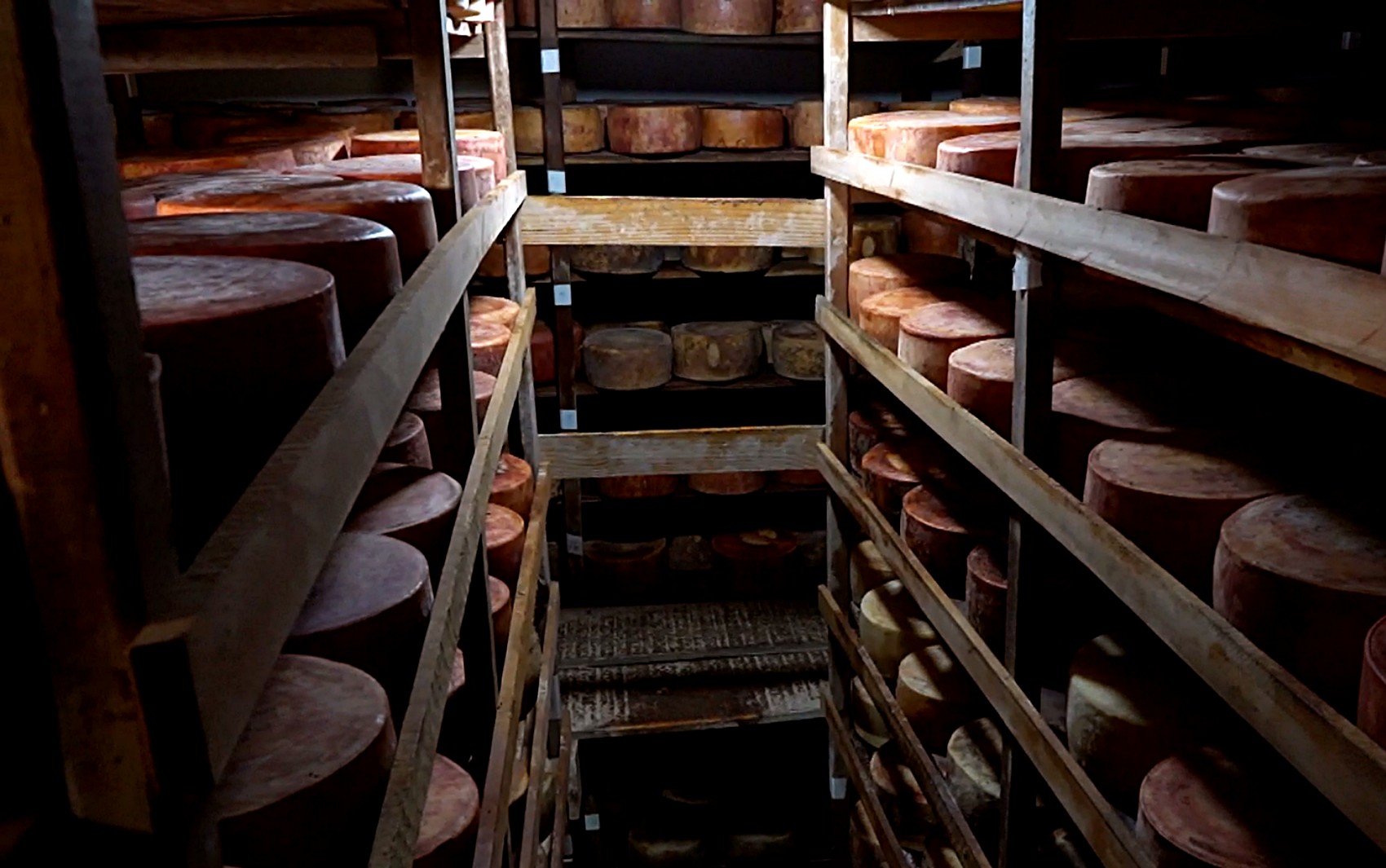 Você Não Tá Convidada pro Meu Bat Mitzvá!