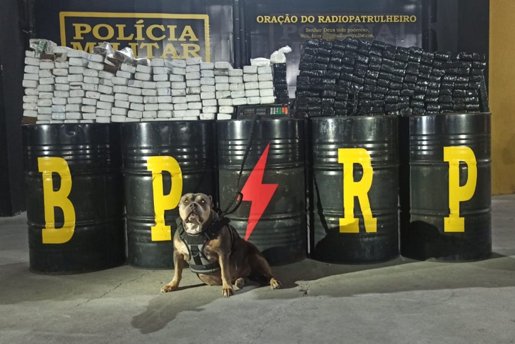 Mais de 200 quilos de maconha são apreendidos em residência em Nossa Senhora do Socorro
