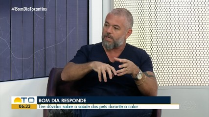 Especialista responde telespectadores sobre saúde dos pets no calor