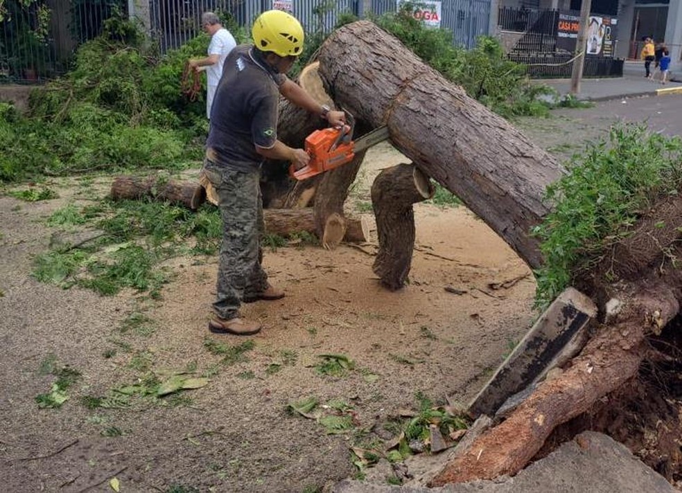 Equipes trabalham para consertar estragos causados por temporal em Presidente Prudente (SP) — Foto: Cedida/Secom