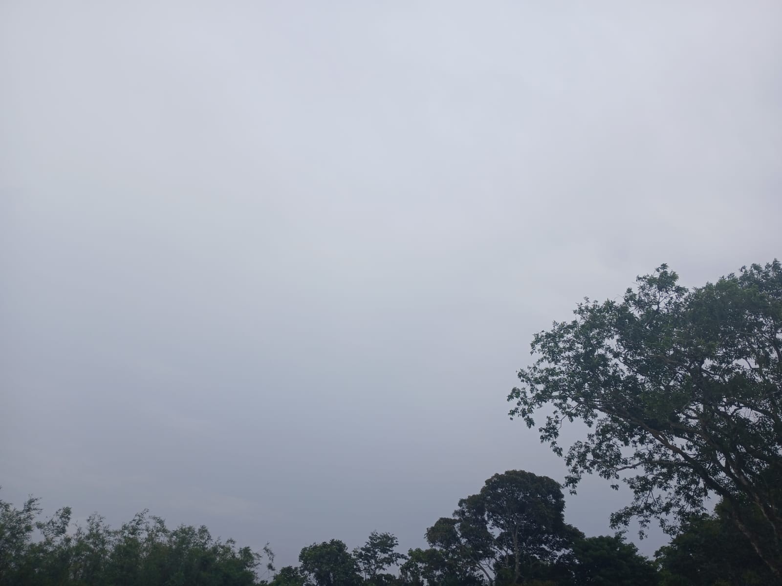 Formação de ciclone traz tempestades e chuva intensa a SC, alerta Defesa Civil; veja previsão