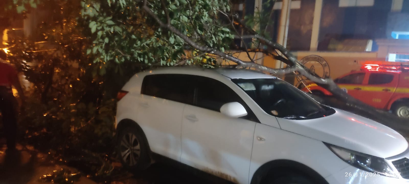 Árvore cai e atinge carro após chuva forte em Salinas