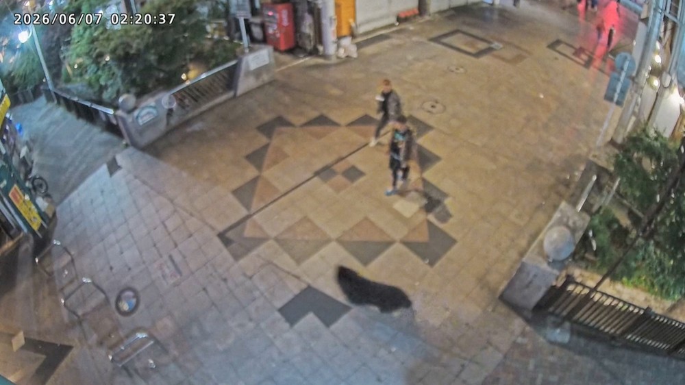 Urso em área urbana provoca suspensão de aulas em todas as escolas de Utsunomiya
