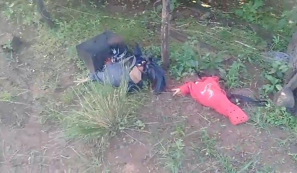 Alguns animais foram encontrados amarrados — Foto: Polícia Militar