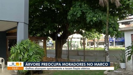 VÍDEOS: JL1 de terça-feira, 21 de julho