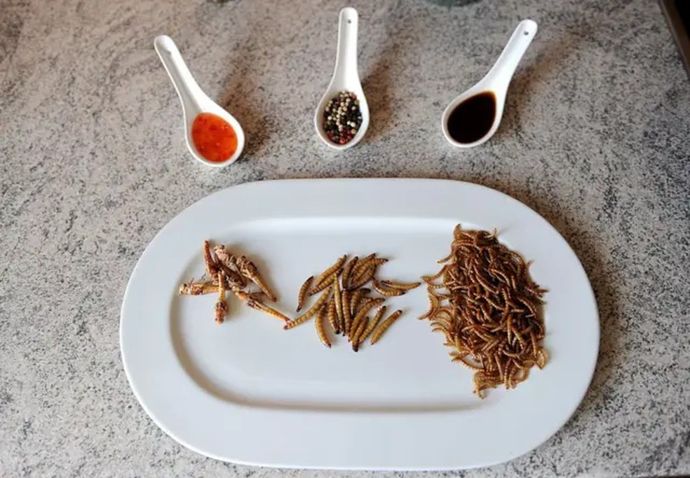 Insetos são ricos em proteína e usam menos o solo e a água do que produção de carnes. — Foto: GETTY IMAGES via BBC