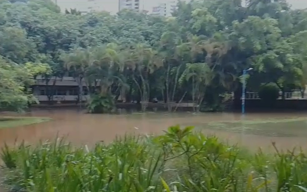 Campus da Ufba em Ondina — Foto: Redes sociais