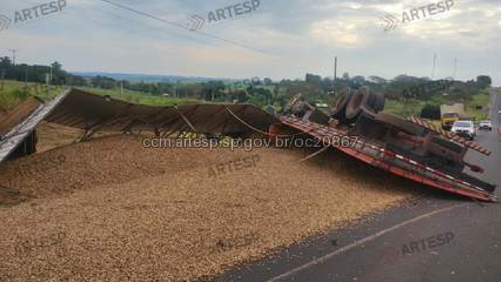 Com o tombamento na SP-294 em Tupã (SP), a carga de amendoim transportada pelo caminhão derramou no acostamento. — Foto: Artesp/Divulgação