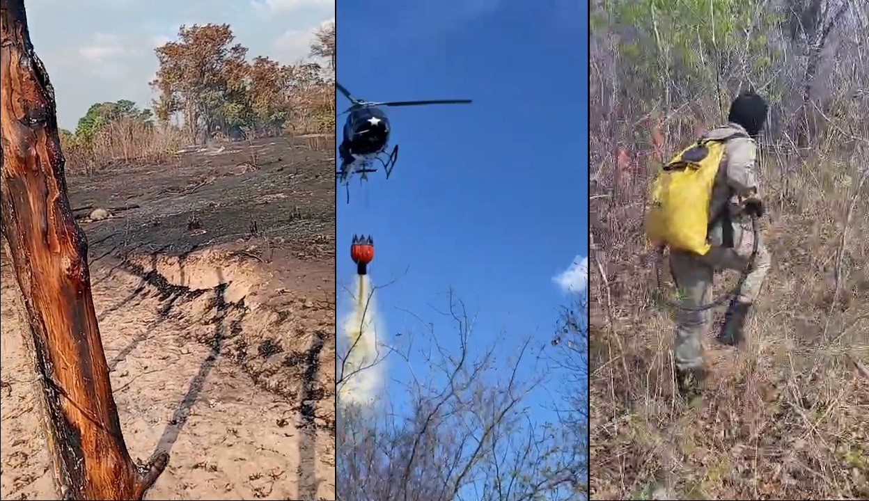 Incêndio atinge comunidades rurais e mata animais em São João da Serra no Piauí; vídeo
