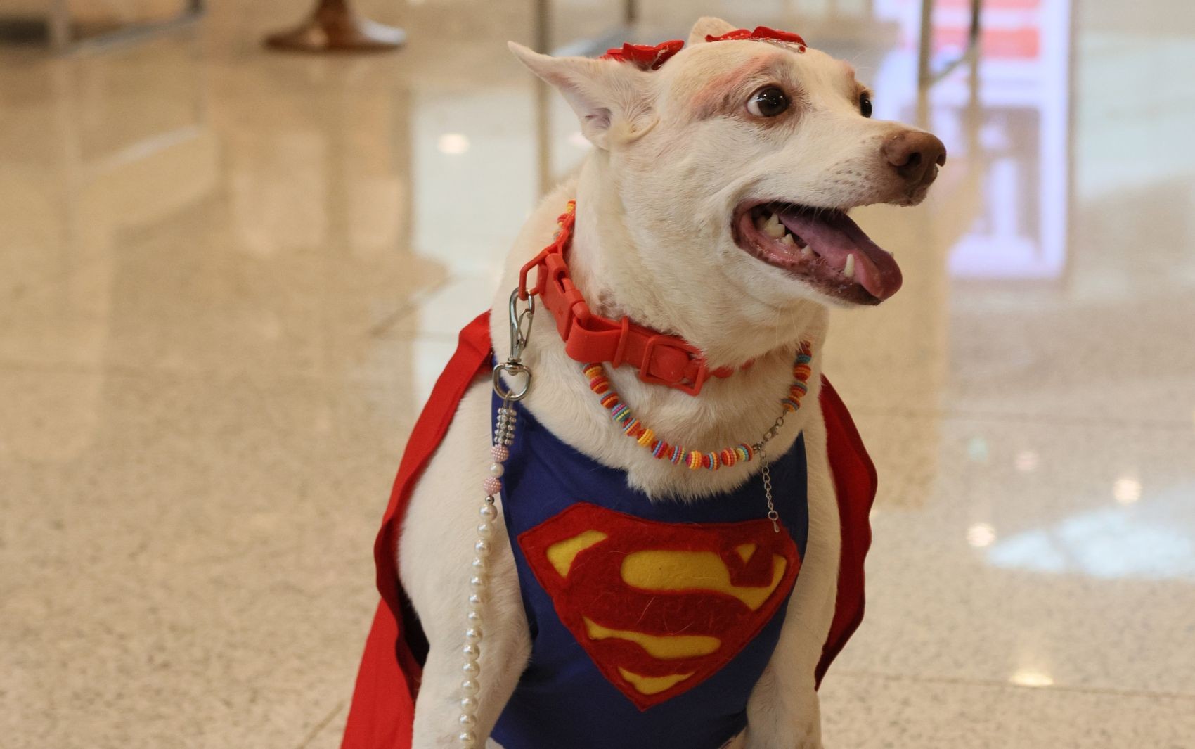 Você Não Tá Convidada pro Meu Bat Mitzvá!