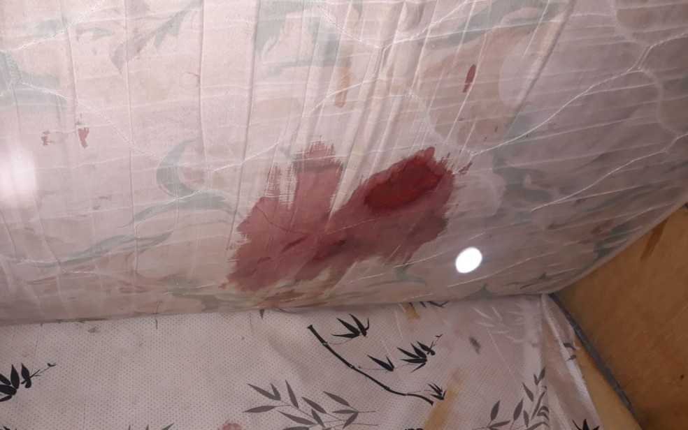 Crime aconteceu na noite de terça-feira (22) após o rapaz chegar bêbado em casa, Goiás — Foto: Divulgação/Polícia Civil
