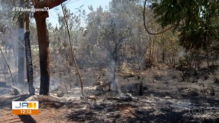 Incêndio é registrado em área de mata em Palmas