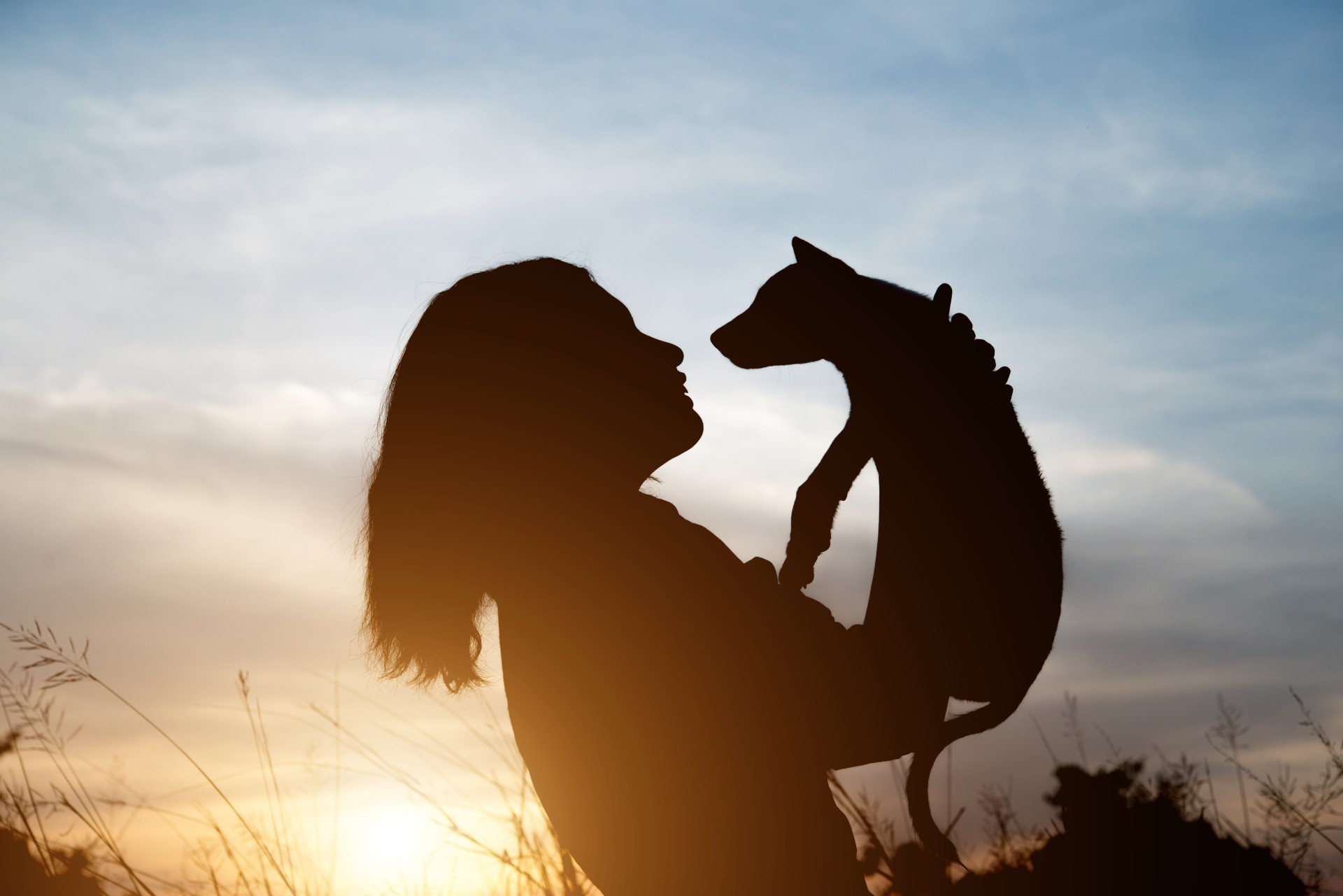 Mongaguá, SP, regulamenta crematórios para animais de estimação; veja as regras 