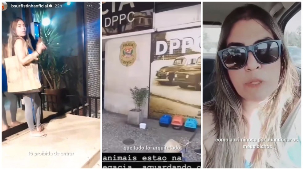 Após denúncia de maus-tratos a animais, Bruna Surfistinha diz que foi proibida de entrar no apartamento — Foto: Reprodução/Instagram