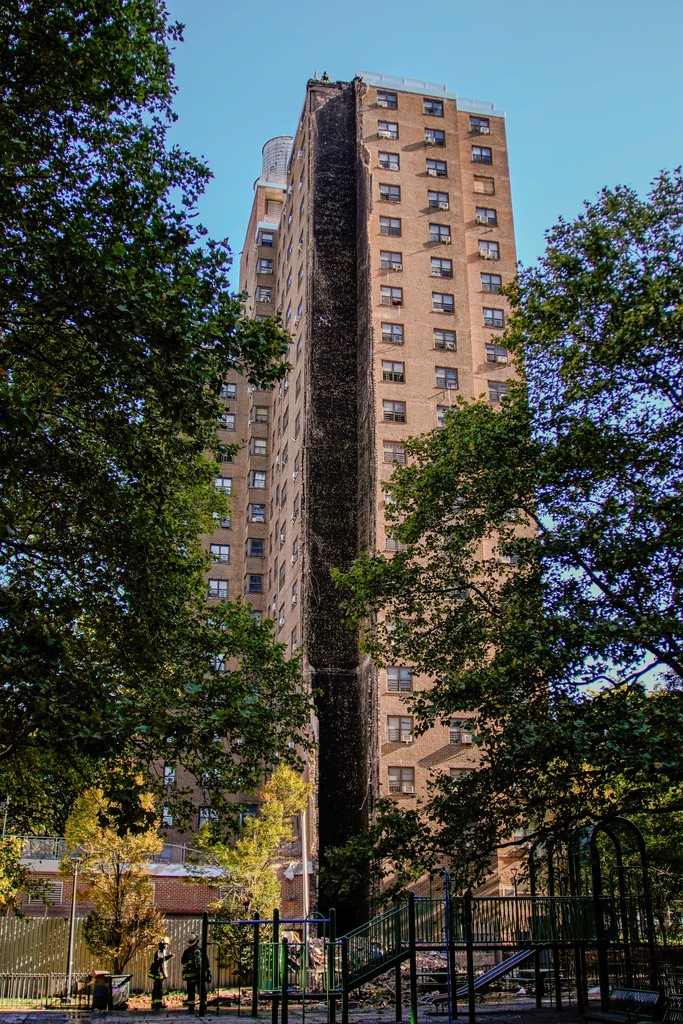 Você Não Tá Convidada pro Meu Bat Mitzvá!