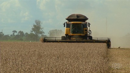 Confira o giro de notícias do Jornal do Campo para todo estado