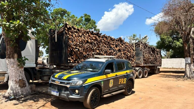 PRF apreende mais de 192 m³ de madeira transportada sem documentação no sudeste do Pará
