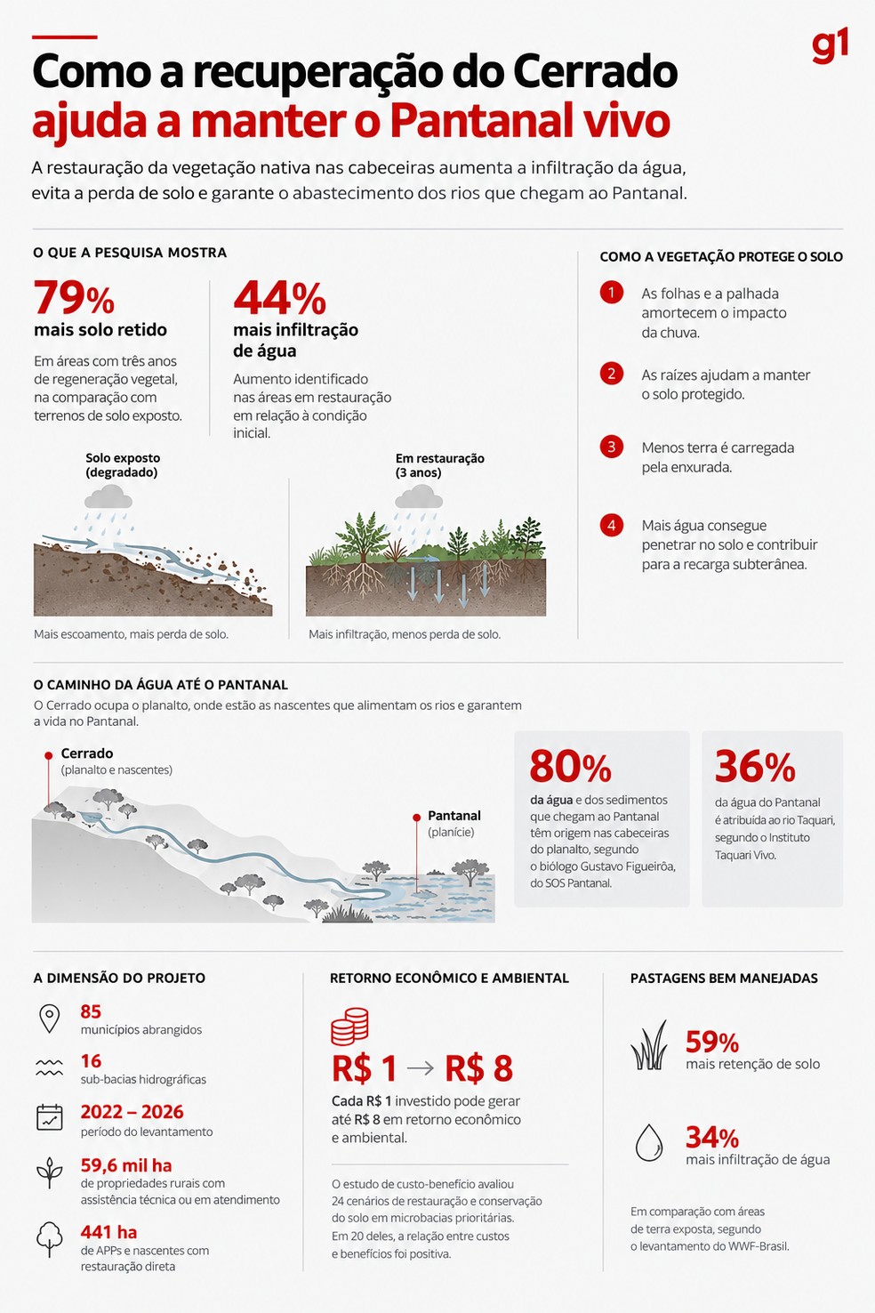 Infográfico mostra dados de pesquisa envolvendo Cerrado e Pantanal. — Foto: Informações: g1 MS/ Produção: IA