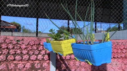 Estudantes criam vasos recicláveis para cultivo em horta