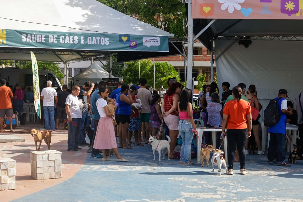 Praça de serviços do Governo de Minas oferece emissão de documentos, vacinação e orientação social  — Foto: Cristiano Machado/Imprensa MG