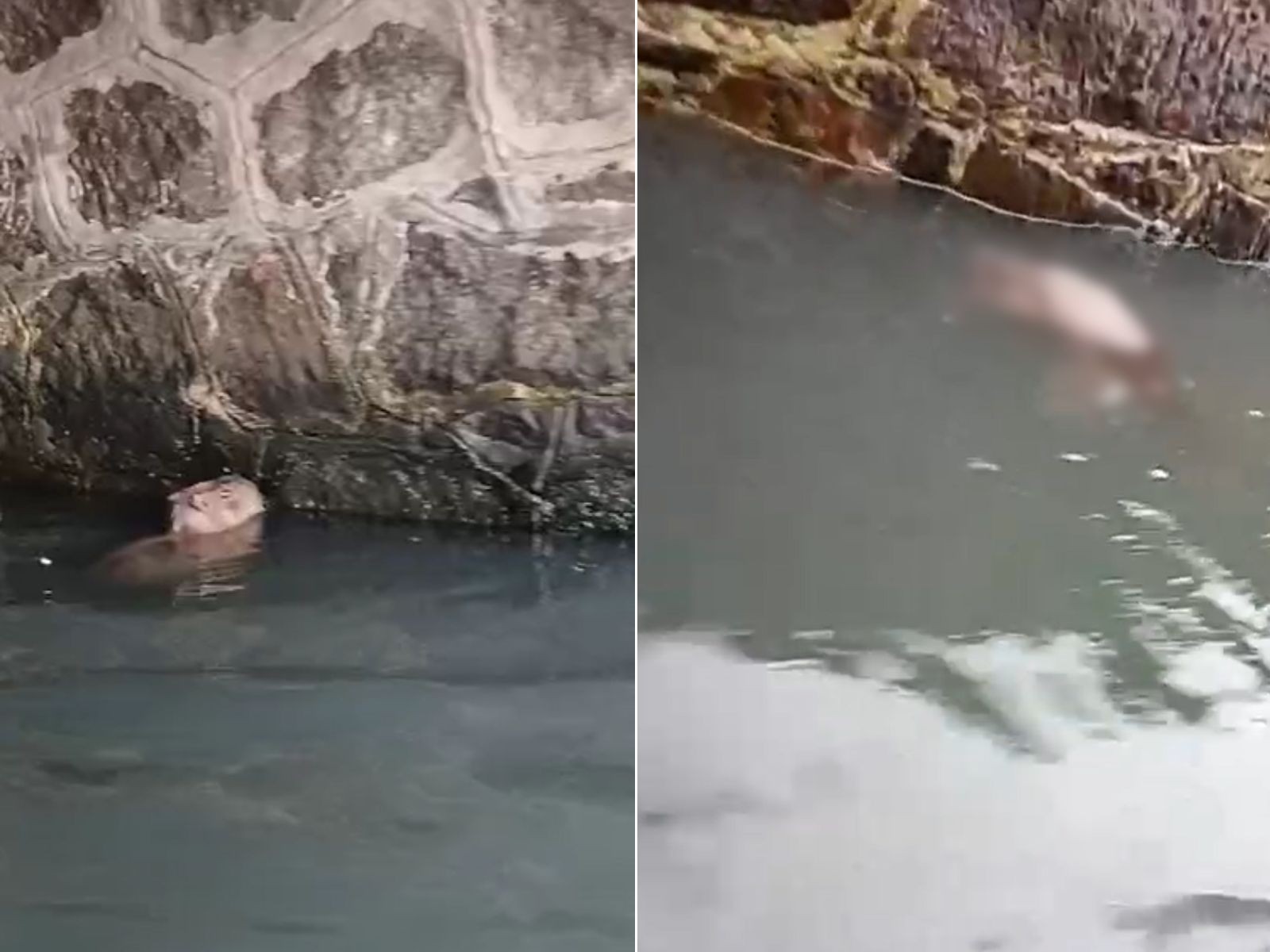 Você Não Tá Convidada pro Meu Bat Mitzvá!