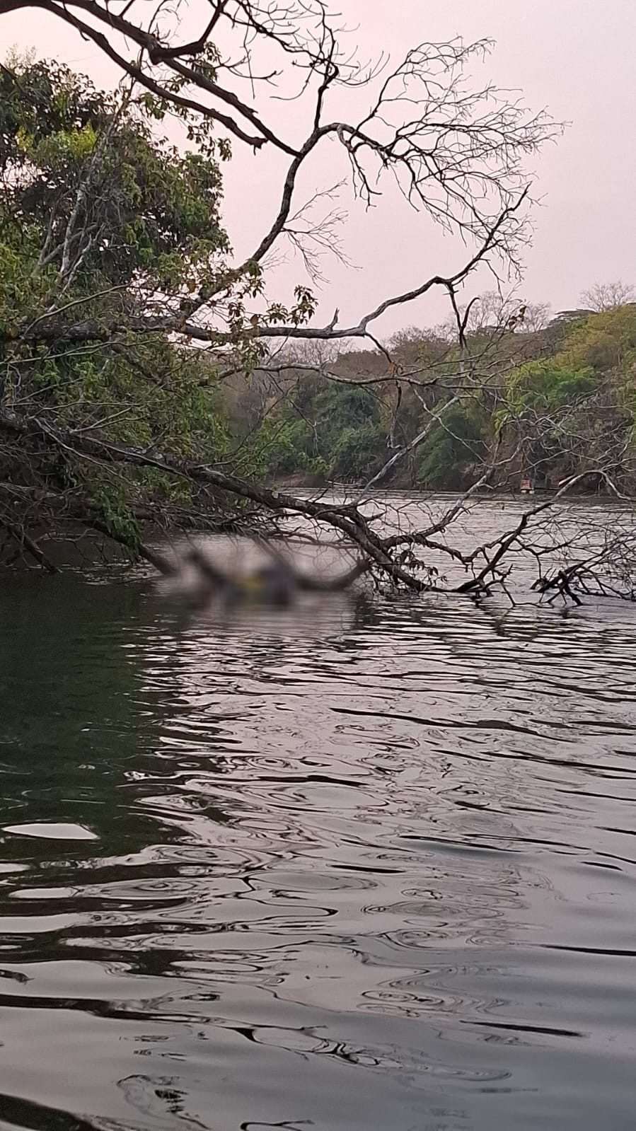 Em 24 horas, dois corpos são encontrados nos rios Verde e Aquidauana, em MS