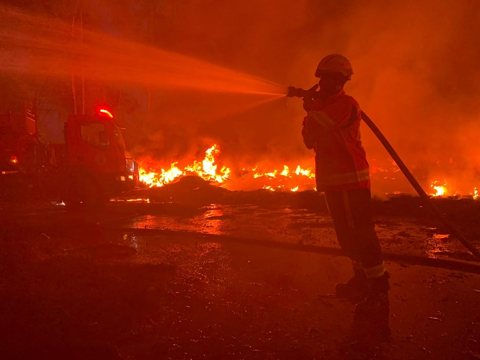Segundo o Corpo de Bombeiros, cerca de 80 hectares foram queimados. — Foto: Reprodução/CBM