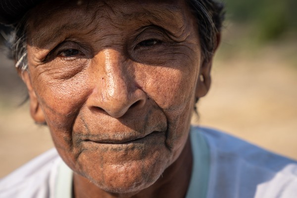 PDF) As vespas que caçam com seus dentes: Artefatos multiespécies, ritual e  relações entre humanos e não humanos entre os Karitiana (Rondônia)