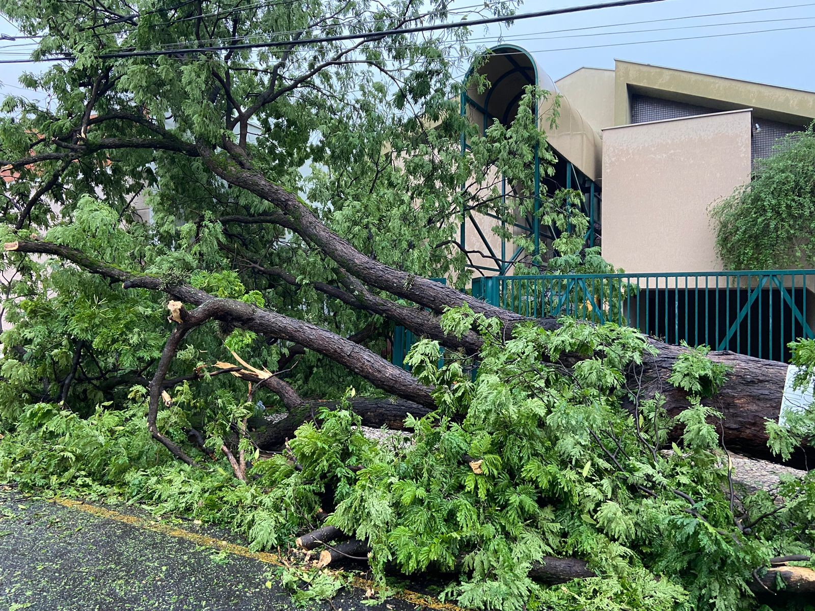 




Chuva deixa seis mortos no estado de SP, diz Defesa Civil; queda de árvores sobre carros e muros foram principal causa dos
