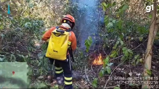Focos de incêndio no Pantanal crescem 931% no 1º semestre de 2024 - Programa: G1 MS 