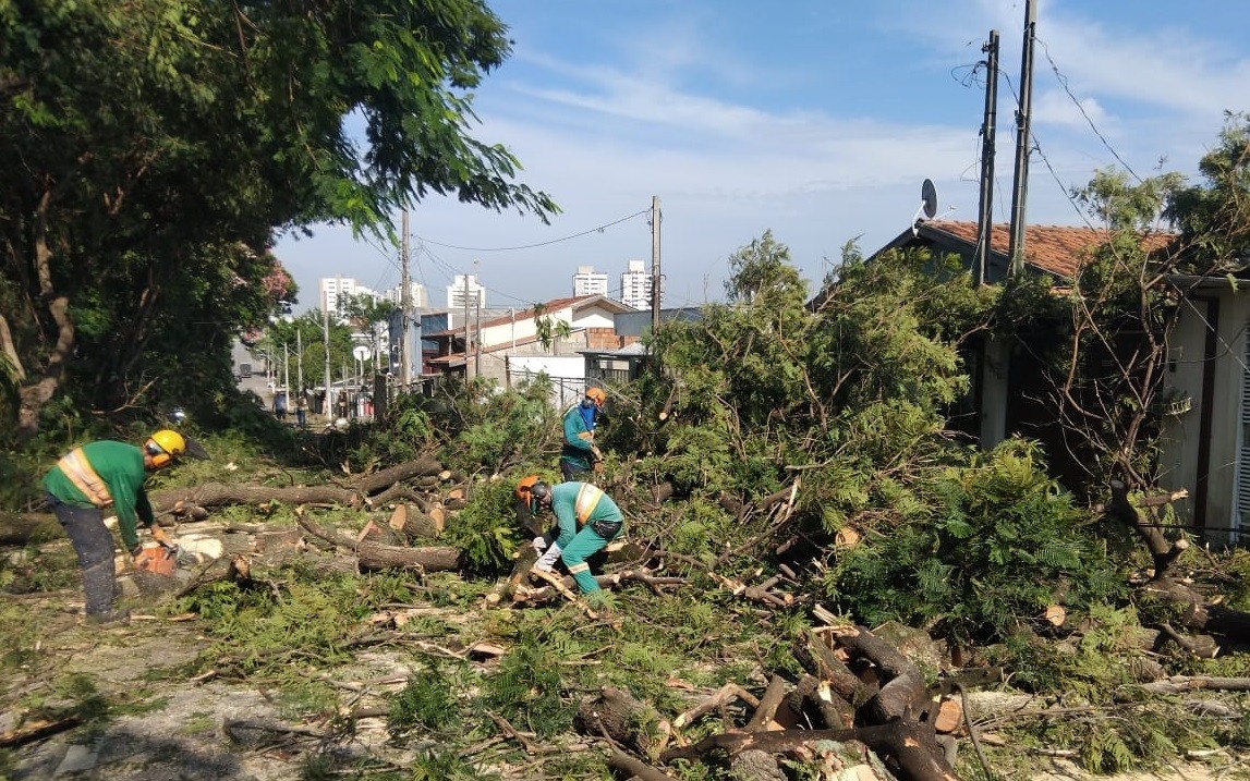 Defesa Civil de Taubaté registra ventos de 77km/h em temporal que derrubou 25 árvores e danificou cobertura da Av. do Povo