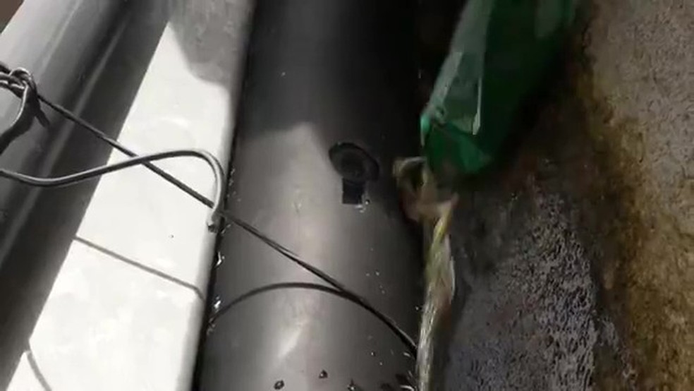 Operação encontra câmera do tráfico em poste e repórter reage: 'não é possível' — Foto: Reprodução/TV Globo