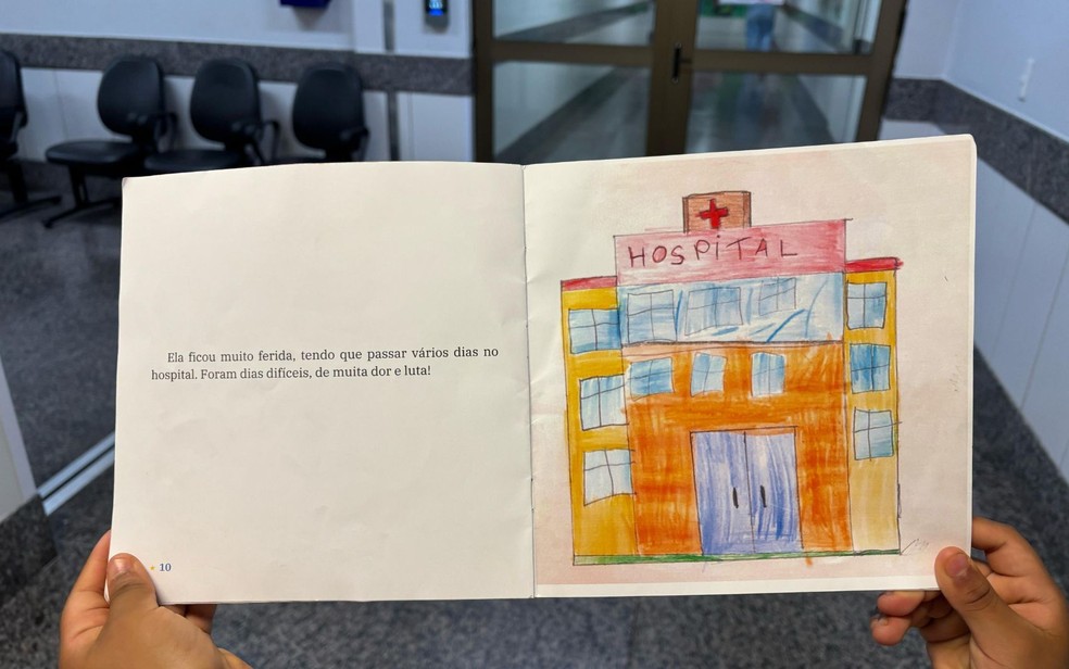 Trecho do livro de Ysadora Constantino Marques 'Brincadeiras perigosas', de 8 anos, Goiás — Foto: Arquivo pessoal/Emilia Constantino