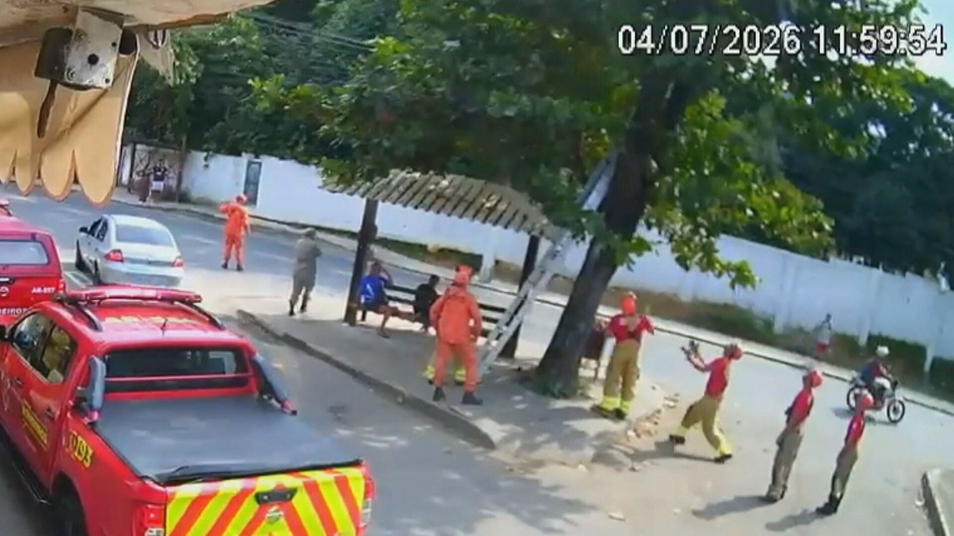 Gato é resgatado por bombeiros após ficar preso em árvore em Guapimirim; VÍDEO 