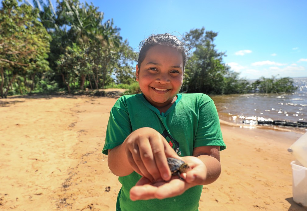 Crianças participaram da soltura de filhotes de quelônios em ilha de Belém   — Foto:  Joyce Ferreira/Prefeitura de Belém 