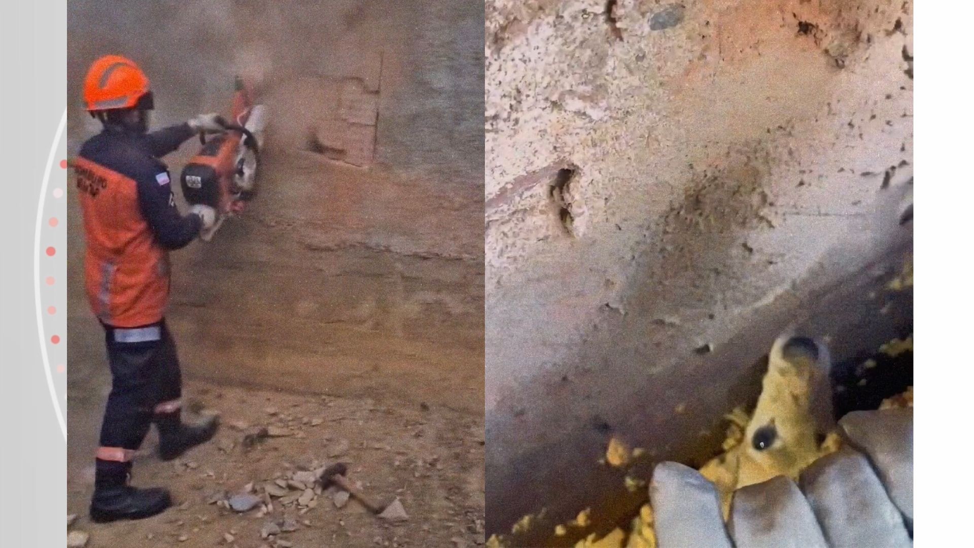 VÍDEO: Cachorro fica preso entre paredes e bombeiros abrem buraco no muro para resgate em Colatina
