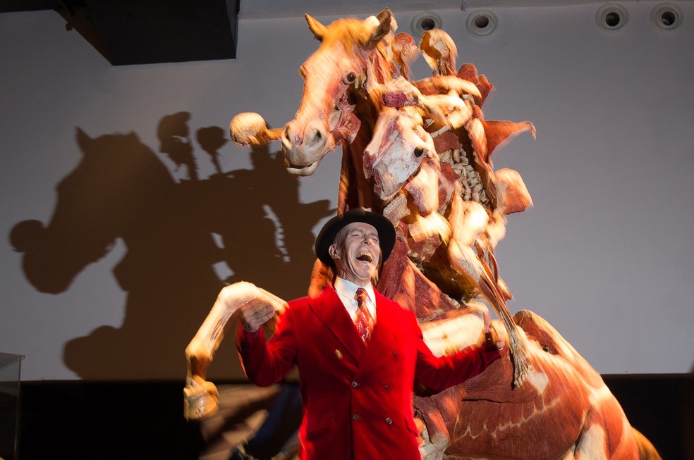 Nesta foto de arquivo, tirada em 4 de outubro de 2018, o anatomista alemão e inventor da técnica de plastinação, Gunther von Hagens, posa em frente à obra "Rider" durante uma sessão de fotos na inauguração do Museu Body Worlds, em Londres. — Foto: DANIEL LEAL/AFP