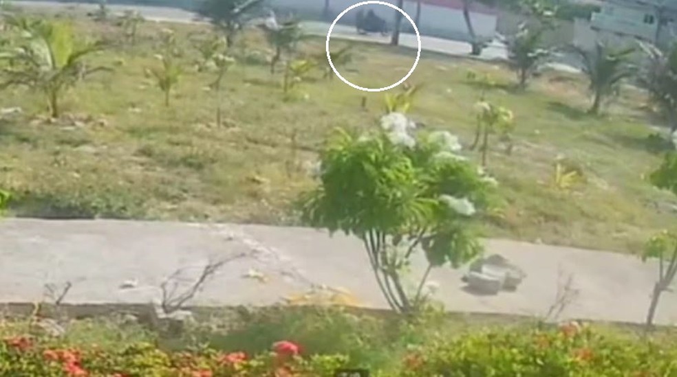 Motociclista bate em árvore e morre após tentar fugir da polícia em Fortaleza. — Foto: Reprodução