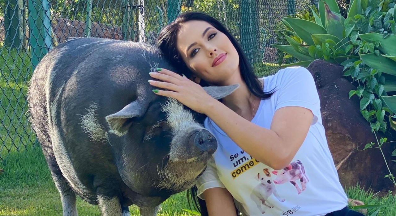 Porco influencer de Jundiaí conquista redes sociais